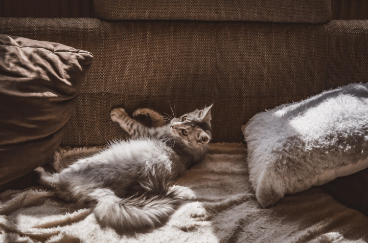 Apartamento de 2 dormitórios no Rudge Ramos: benefícios